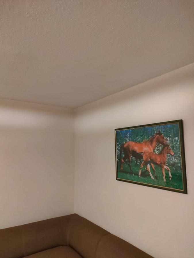 Apartament 6 Osobowy Szklarska Poręba Eksteriør billede